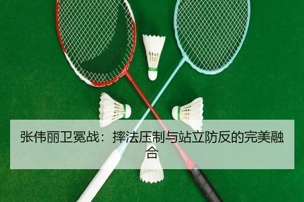 zhang-wei-li-wei-mian-zhan-shuai-fa-ya-zhi-yu-zhan-li-fang-fan-de-wan-mei-rong-he-2-504.jpg